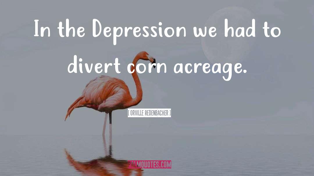 Orville Redenbacher Quotes: In the Depression we had