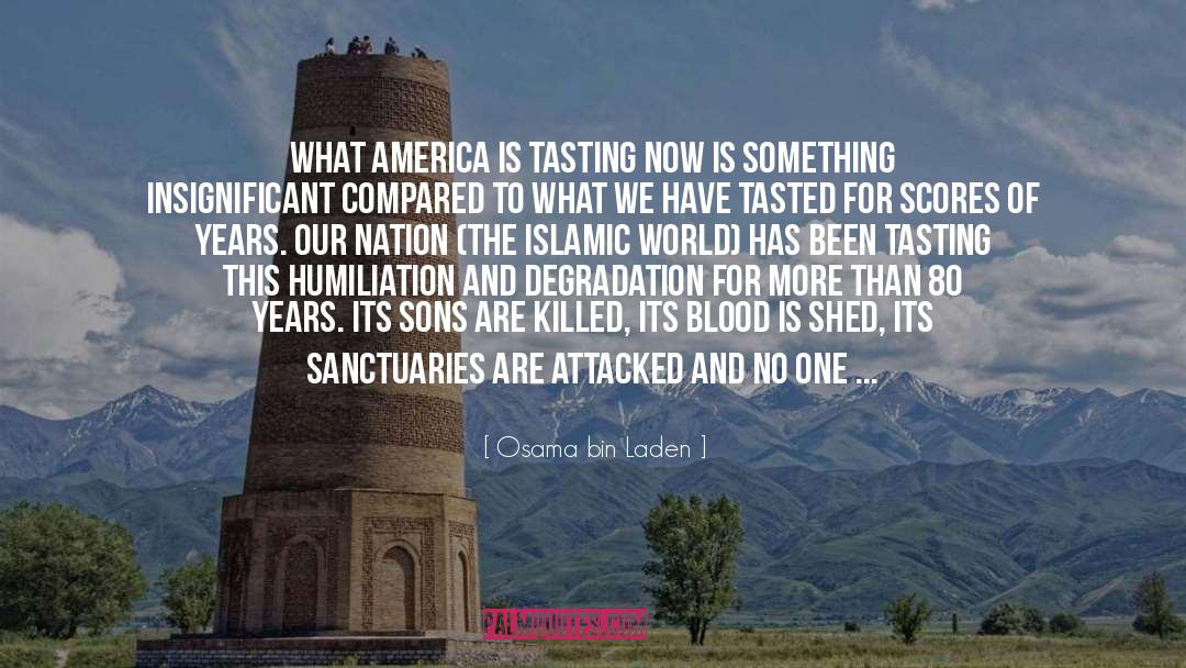 Osama Bin Laden Quotes: What America is tasting now