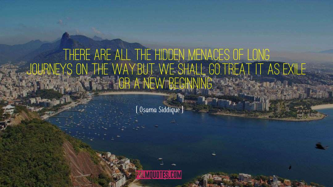 Osama Siddique Quotes: There are all the hidden