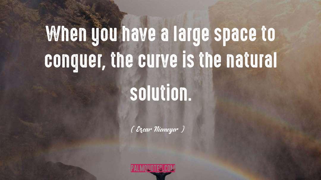 Oscar Niemeyer Quotes: When you have a large