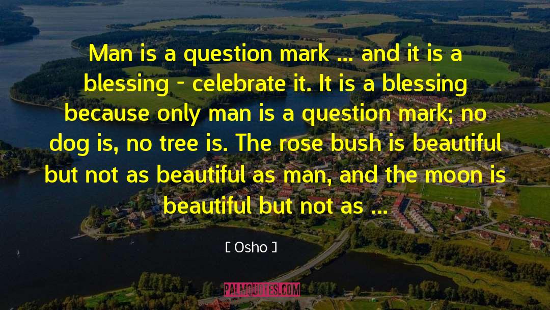 Osho Quotes: Man is a question mark