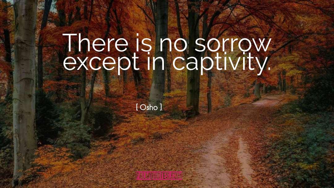 Osho Quotes: There is no sorrow except