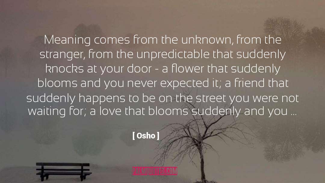 Osho Quotes: Meaning comes from the unknown,
