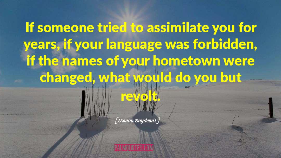 Osman Baydemir Quotes: If someone tried to assimilate