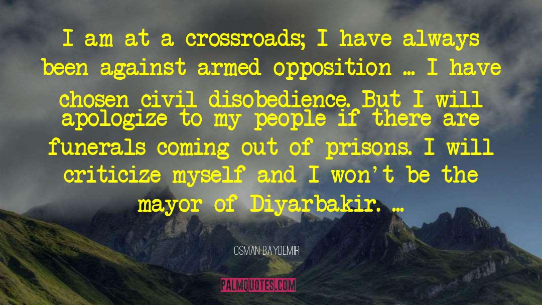 Osman Baydemir Quotes: I am at a crossroads;