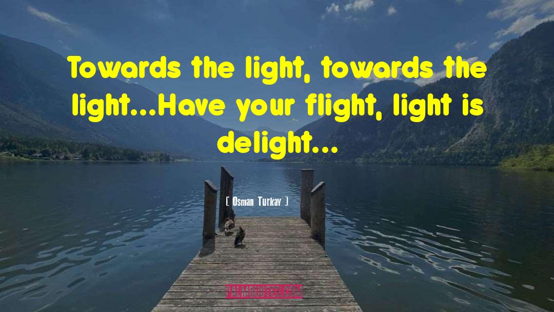Osman Turkay Quotes: Towards the light, towards the
