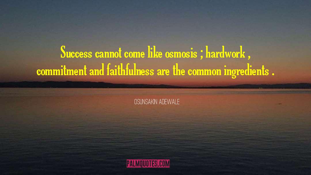 Osunsakin Adewale Quotes: Success cannot come like osmosis