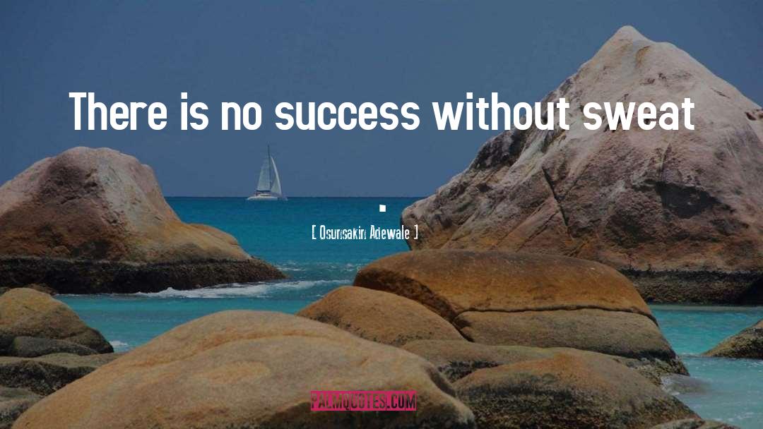 Osunsakin Adewale Quotes: There is no success without