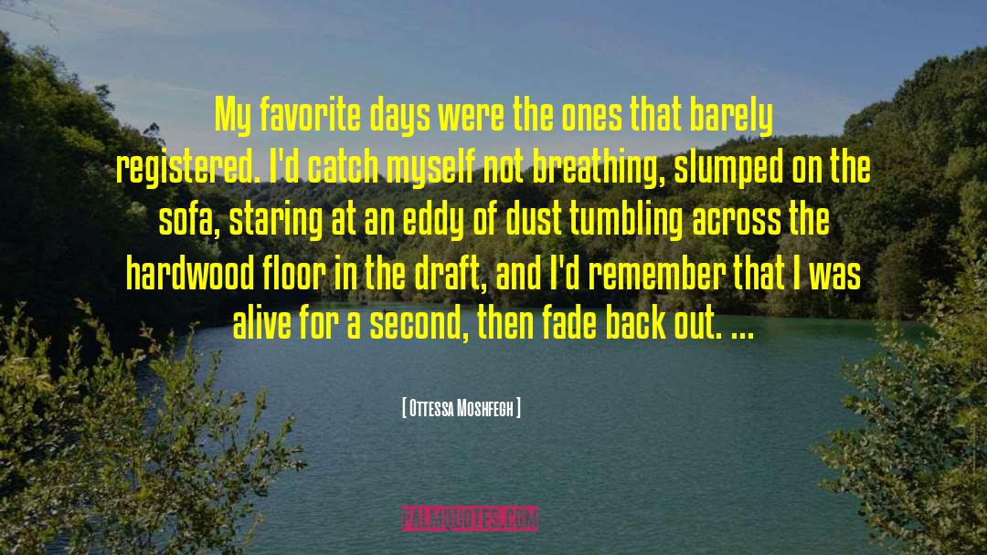 Ottessa Moshfegh Quotes: My favorite days were the
