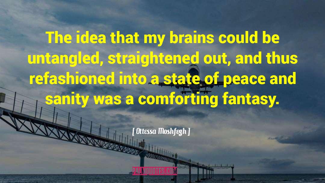 Ottessa Moshfegh Quotes: The idea that my brains