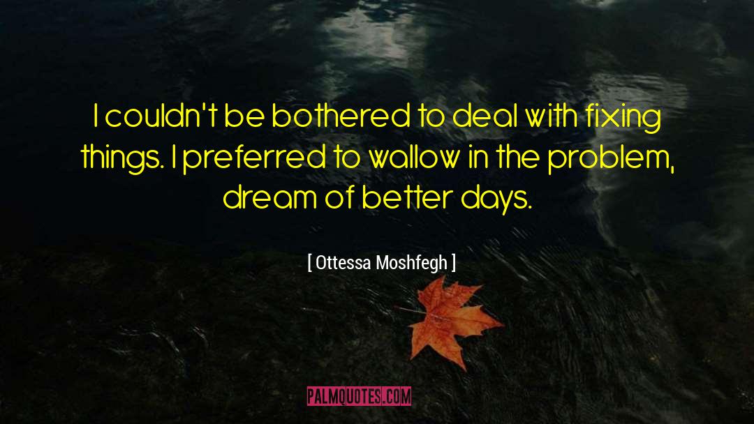 Ottessa Moshfegh Quotes: I couldn't be bothered to