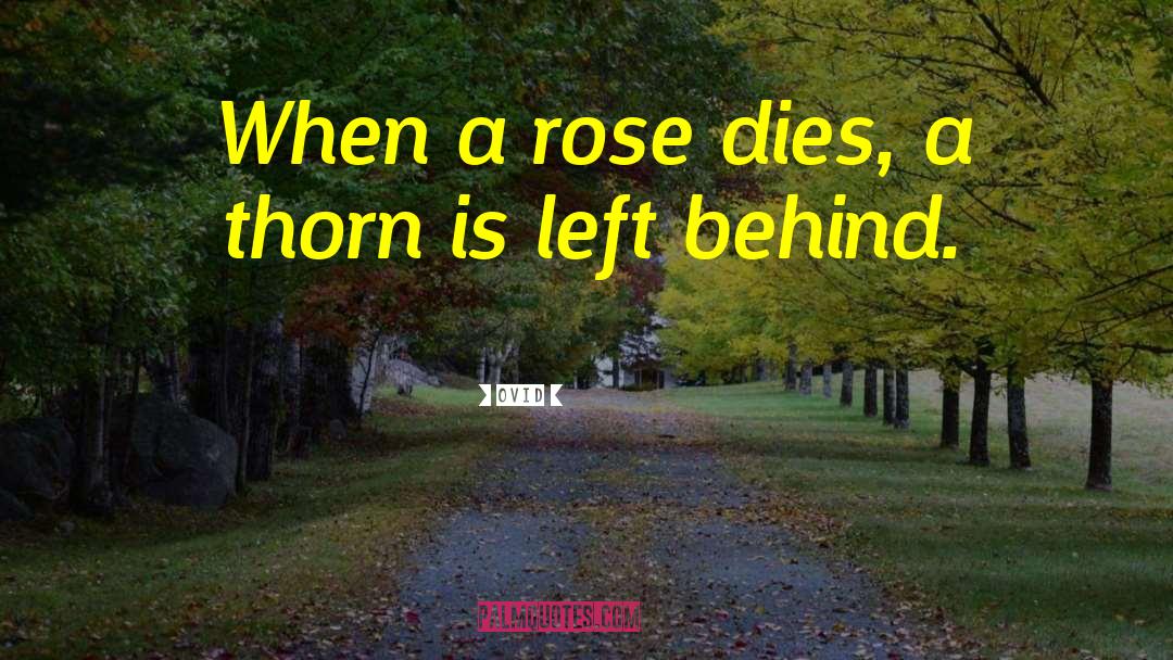 Ovid Quotes: When a rose dies, a