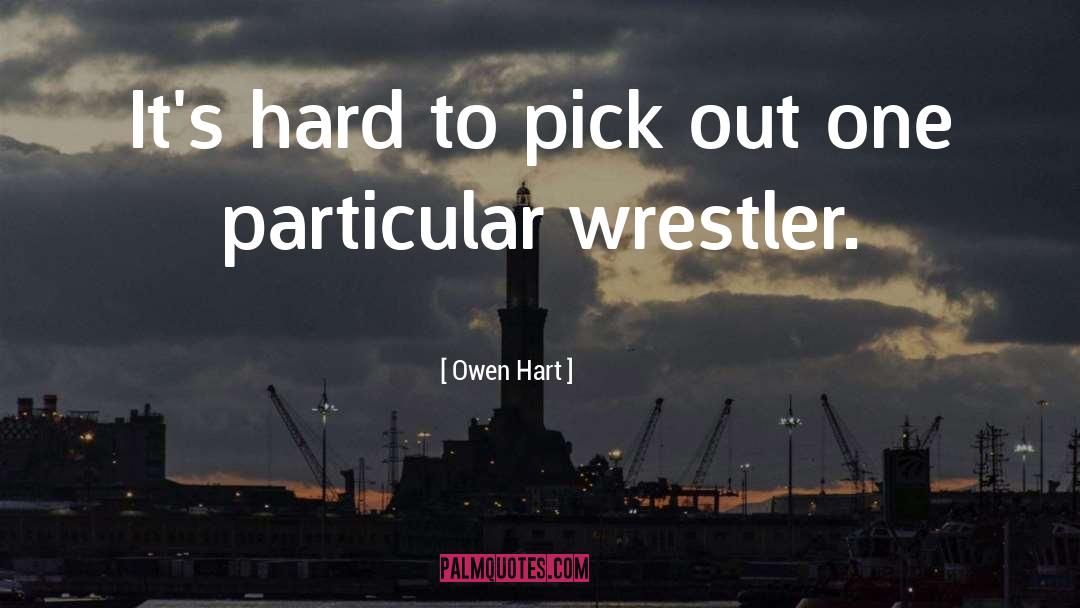 Owen Hart Quotes: It's hard to pick out