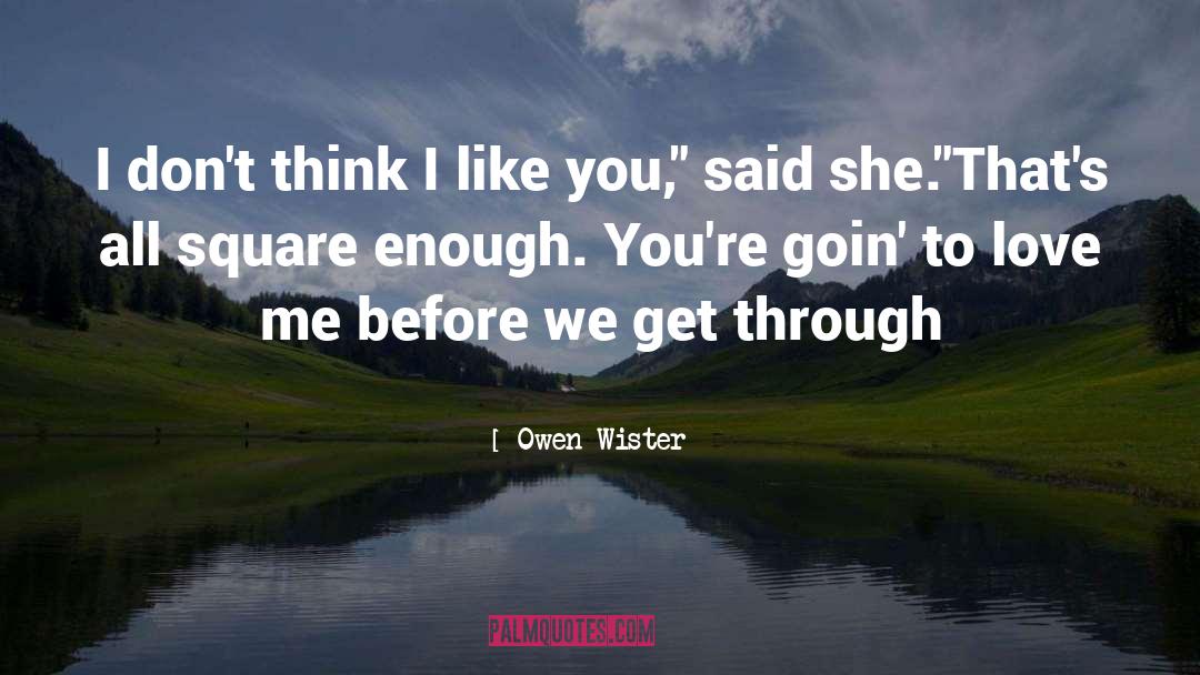 Owen Wister Quotes: I don't think I like