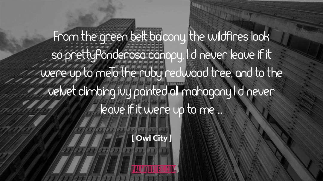 Owl City Quotes: From the green belt balcony,