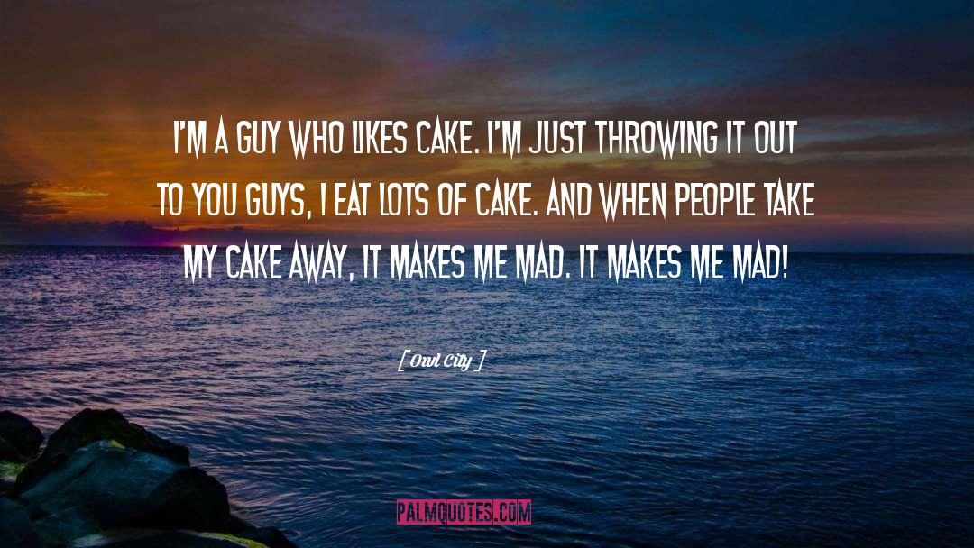 Owl City Quotes: I'm a guy who likes