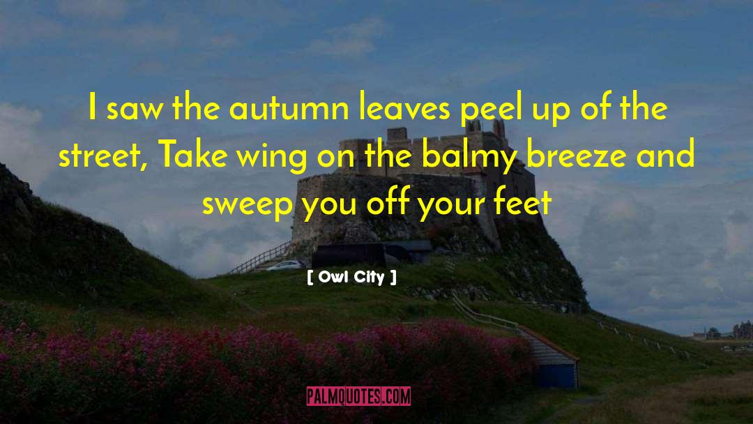 Owl City Quotes: I saw the autumn leaves