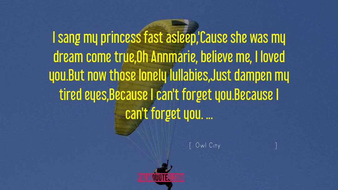Owl City Quotes: I sang my princess fast