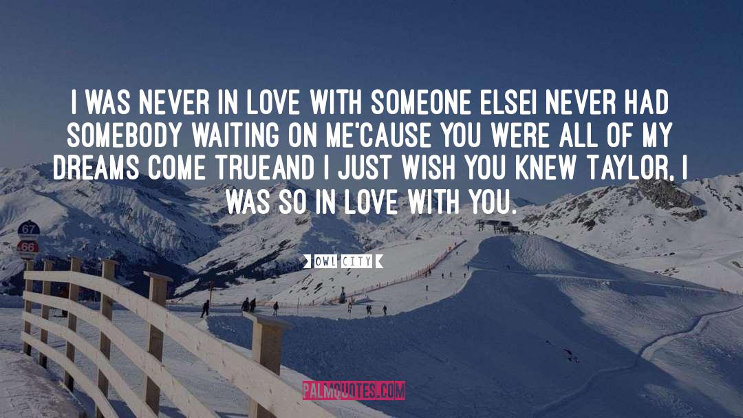 Owl City Quotes: I was never in love