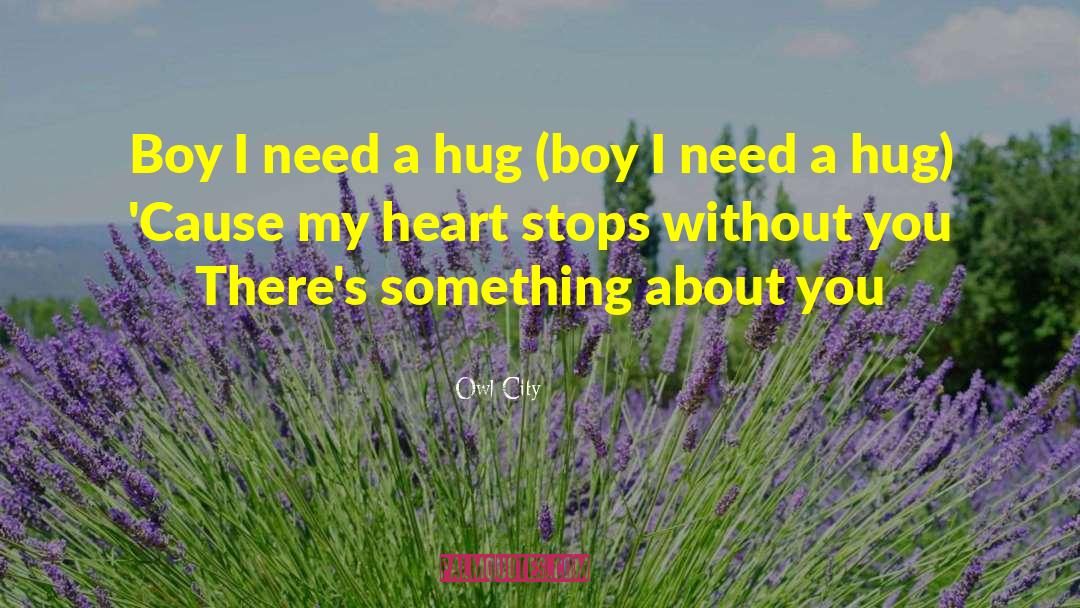 Owl City Quotes: Boy I need a hug