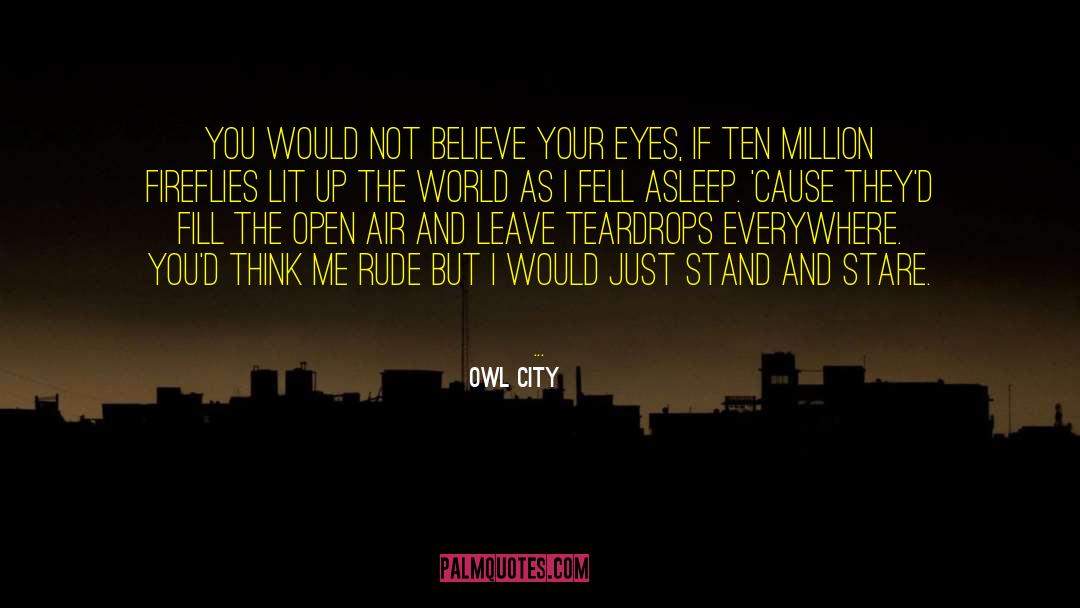 Owl City Quotes: You would not believe your