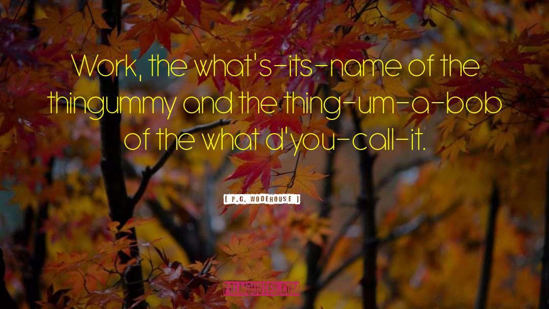 P.G. Wodehouse Quotes: Work, the what's-its-name of the