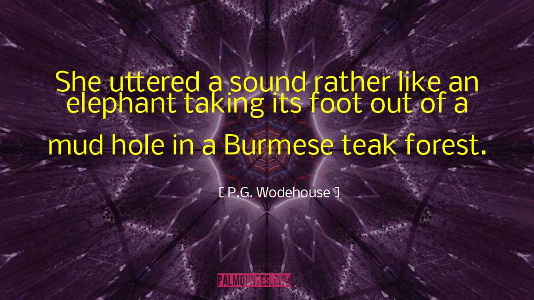 P.G. Wodehouse Quotes: She uttered a sound rather