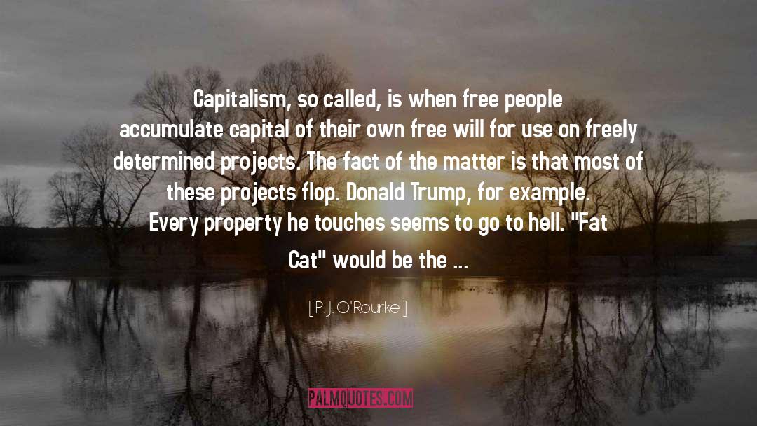 P. J. O'Rourke Quotes: Capitalism, so called, is when
