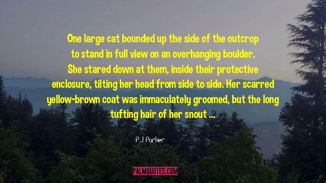 P.J. Parker Quotes: One large cat bounded up