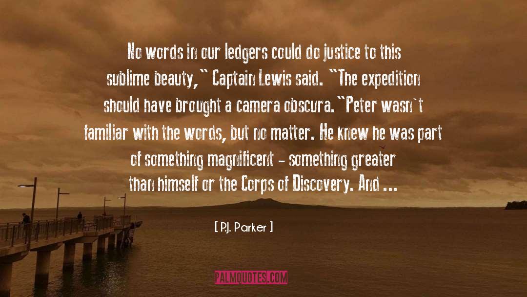 P.J. Parker Quotes: No words in our ledgers