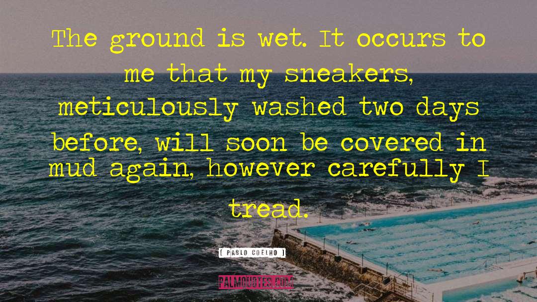 Pablo Coelho Quotes: The ground is wet. It