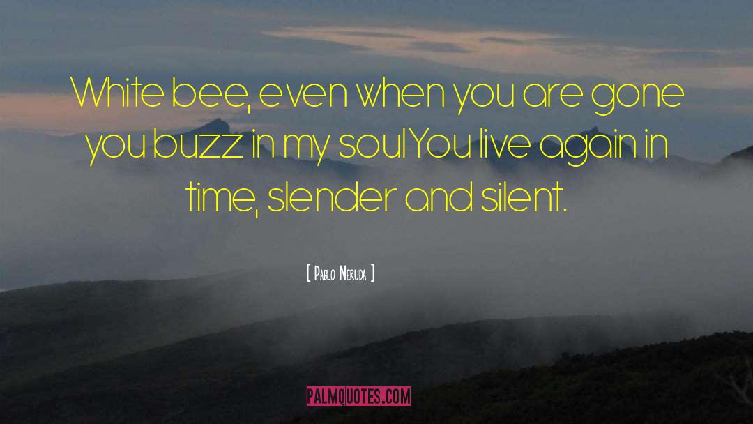 Pablo Neruda Quotes: White bee, even when you