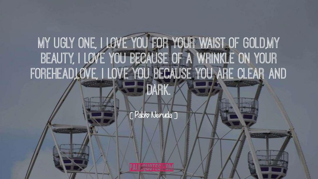 Pablo Neruda Quotes: My ugly one, I love