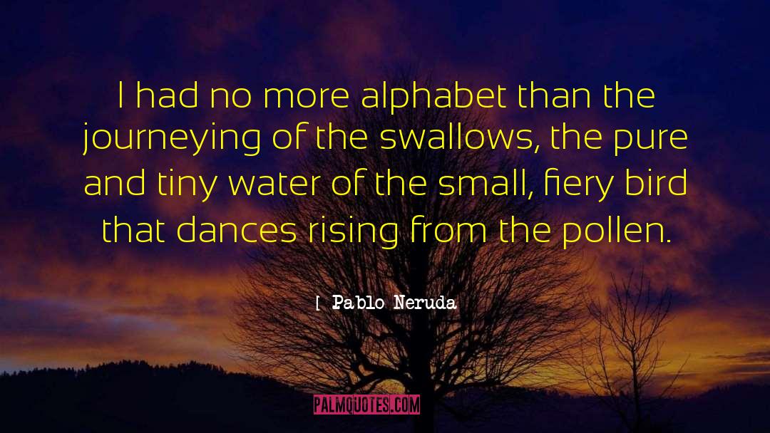 Pablo Neruda Quotes: I had no more alphabet