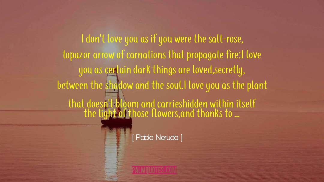 Pablo Neruda Quotes: I don't love you as