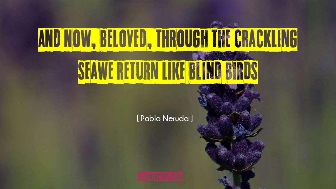 Pablo Neruda Quotes: And now, beloved, through the
