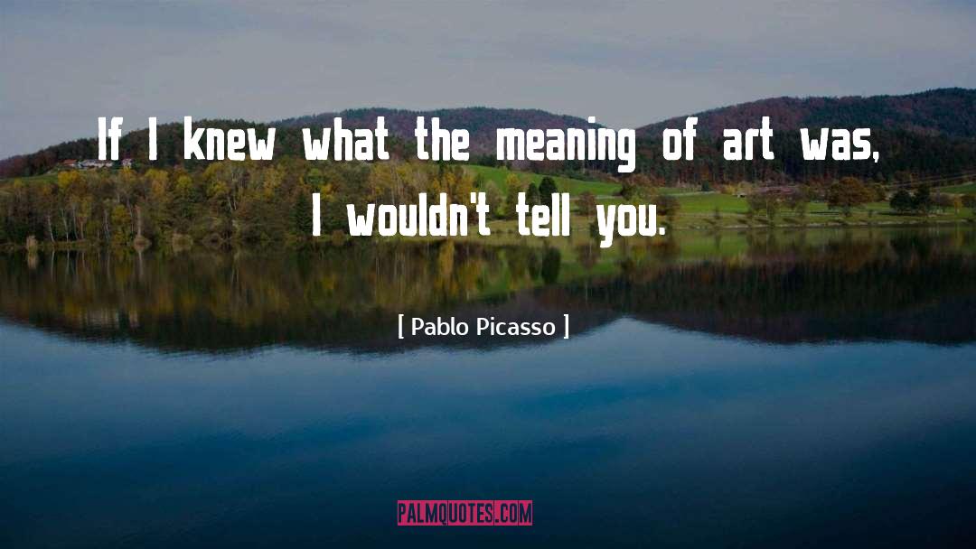 Pablo Picasso Quotes: If I knew what the