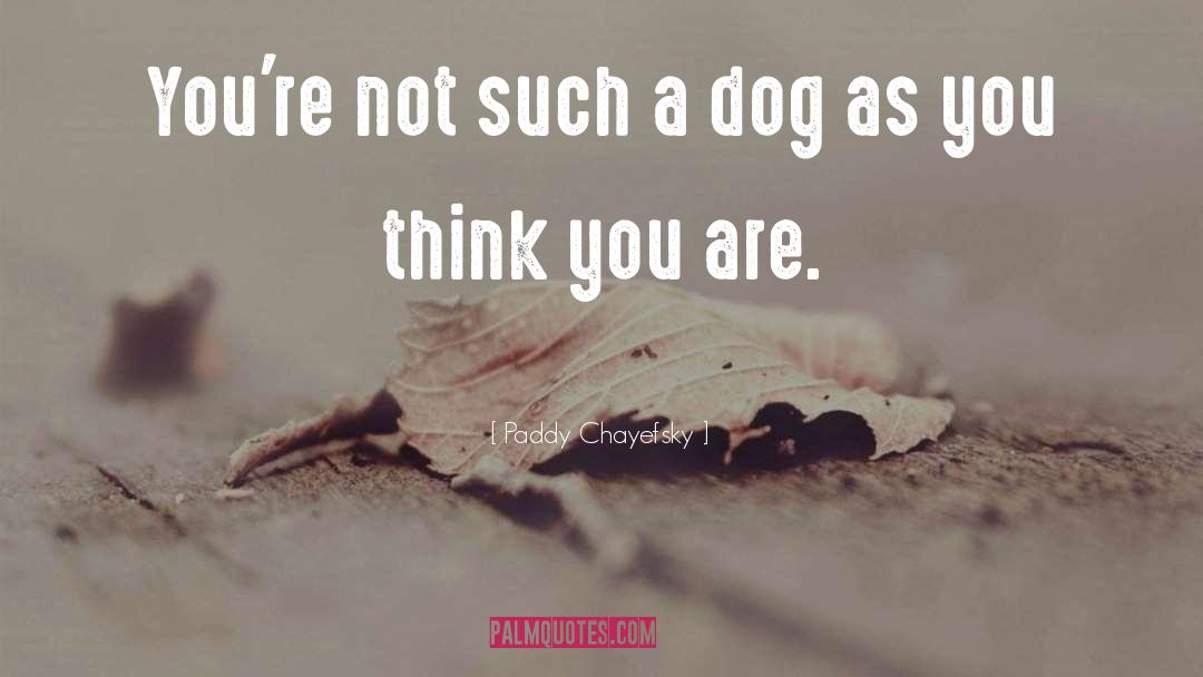 Paddy Chayefsky Quotes: You're not such a dog