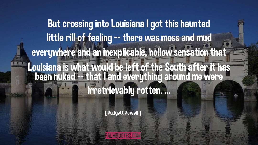 Padgett Powell Quotes: But crossing into Louisiana I