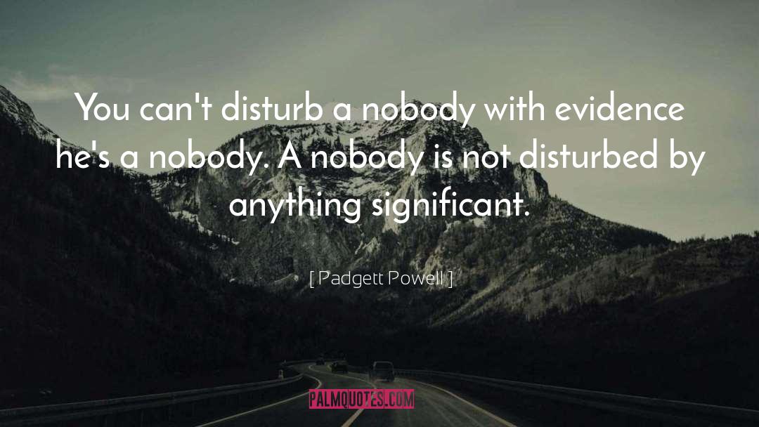 Padgett Powell Quotes: You can't disturb a nobody