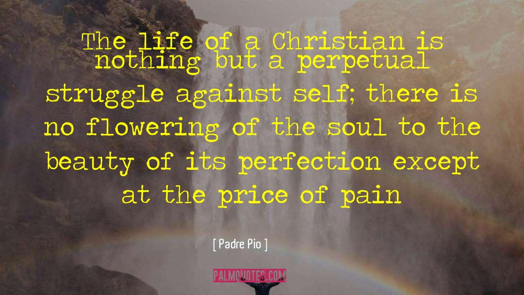 Padre Pio Quotes: The life of a Christian