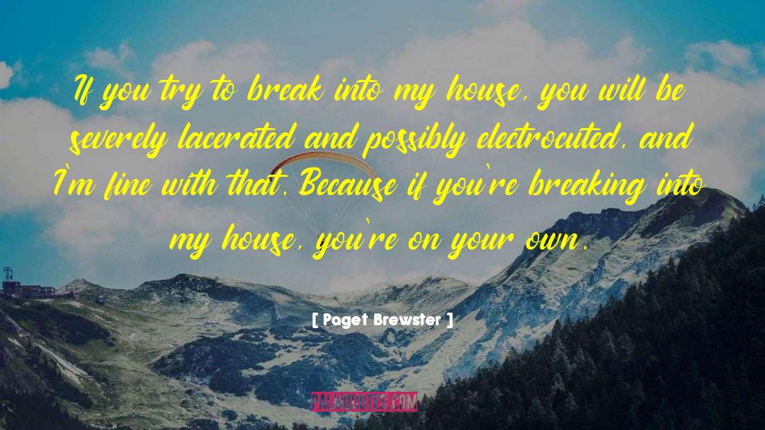 Paget Brewster Quotes: If you try to break