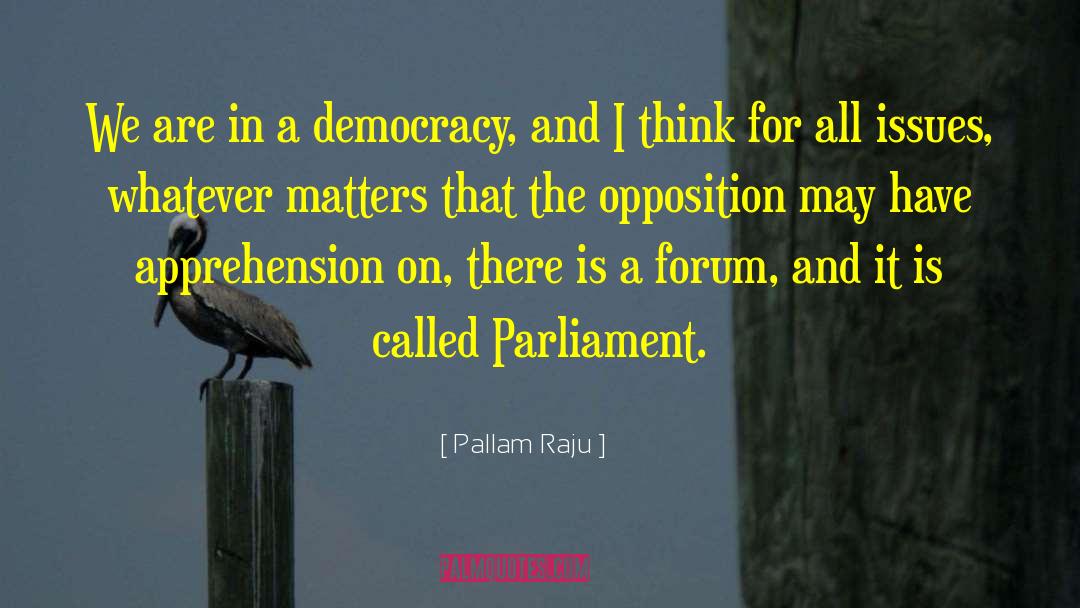 Pallam Raju Quotes: We are in a democracy,