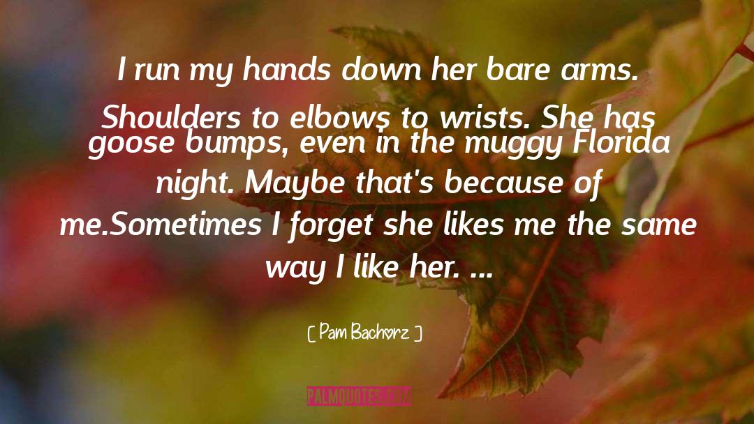 Pam Bachorz Quotes: I run my hands down