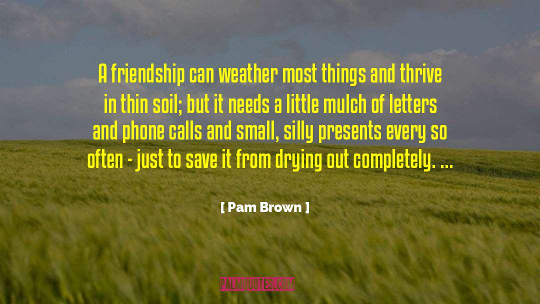 Pam Brown Quotes: A friendship can weather most