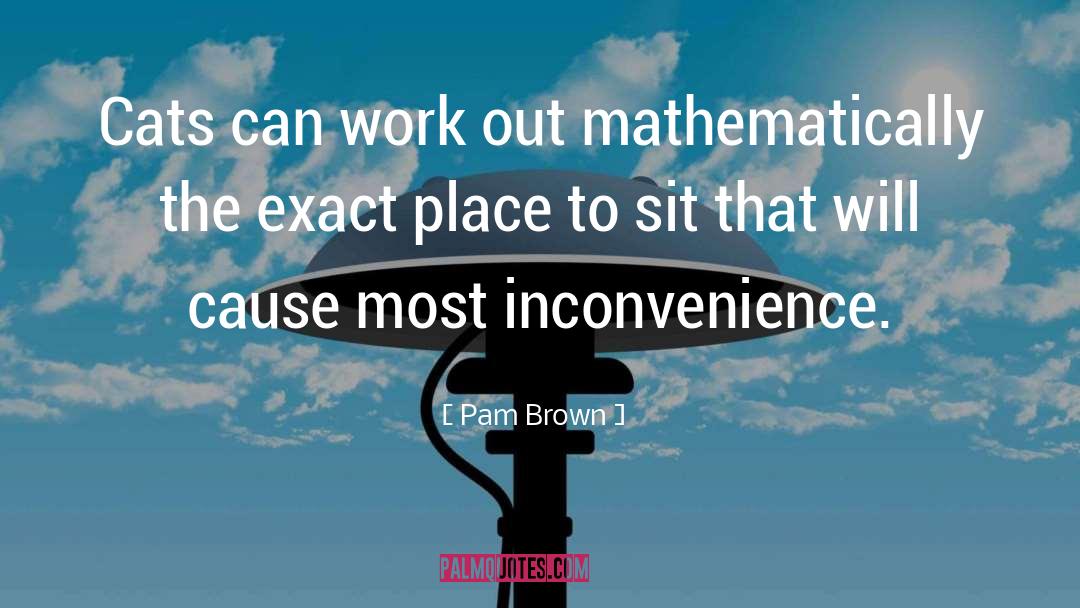 Pam Brown Quotes: Cats can work out mathematically