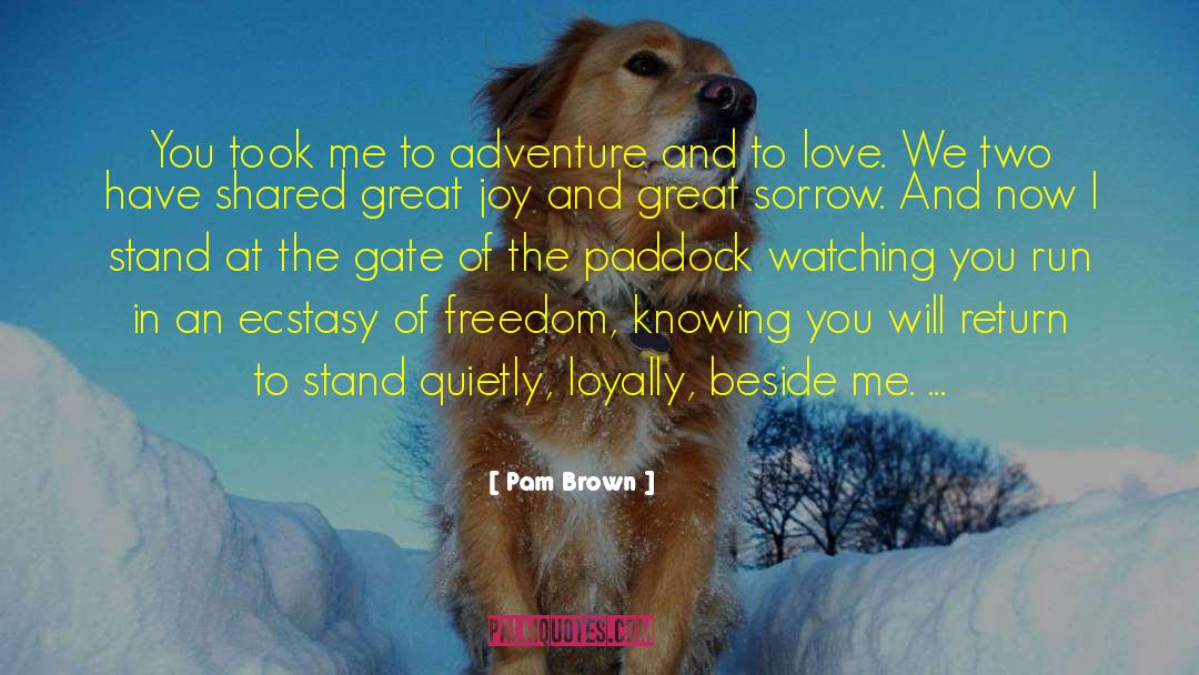 Pam Brown Quotes: You took me to adventure