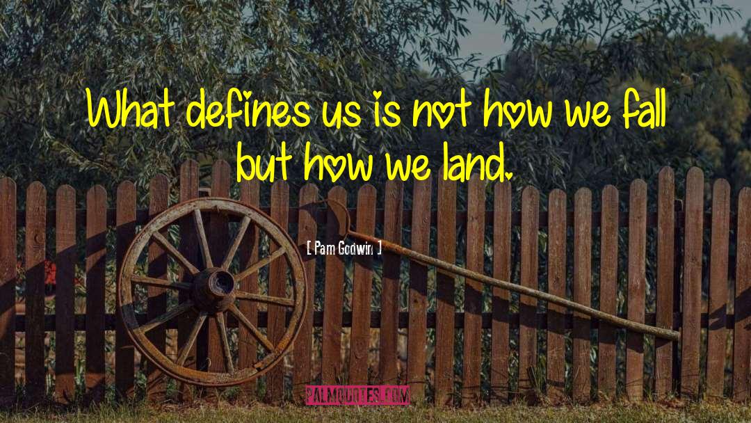 Pam Godwin Quotes: What defines us is not