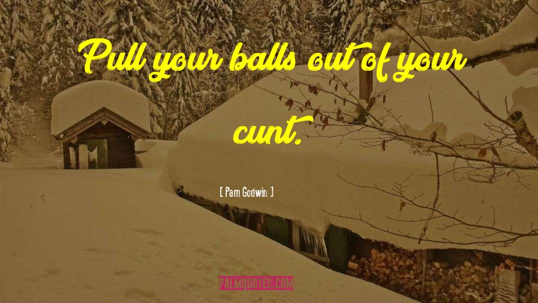 Pam Godwin Quotes: Pull your balls out of