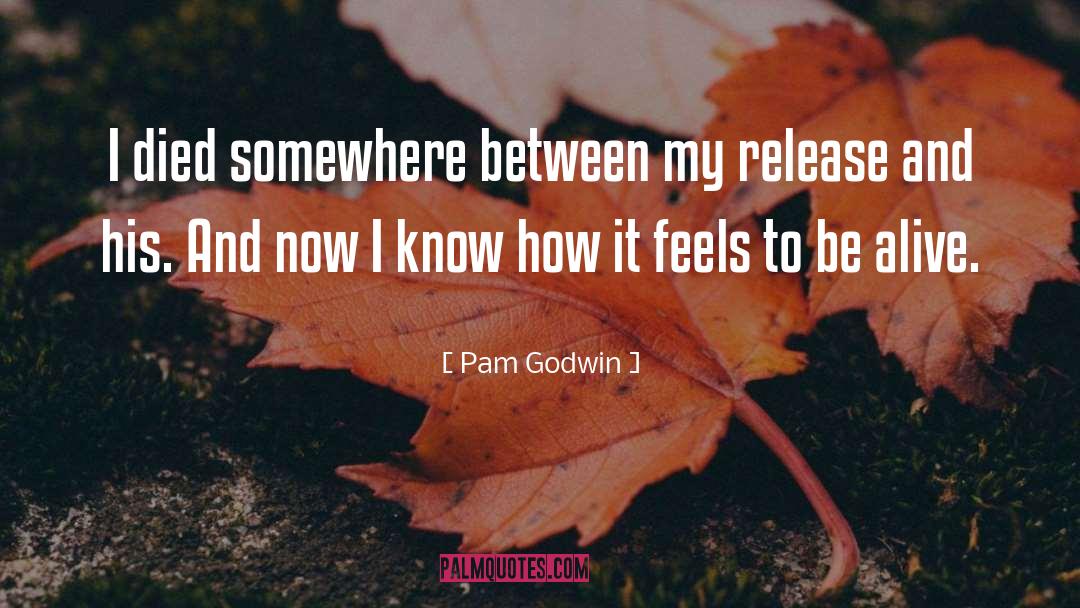 Pam Godwin Quotes: I died somewhere between my